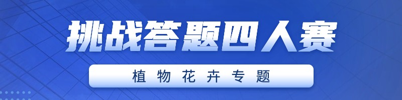 四人赛挑战答题site_name缩略图 四人赛挑战答题site_name缩略图